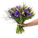 Bouquet of spring flowers